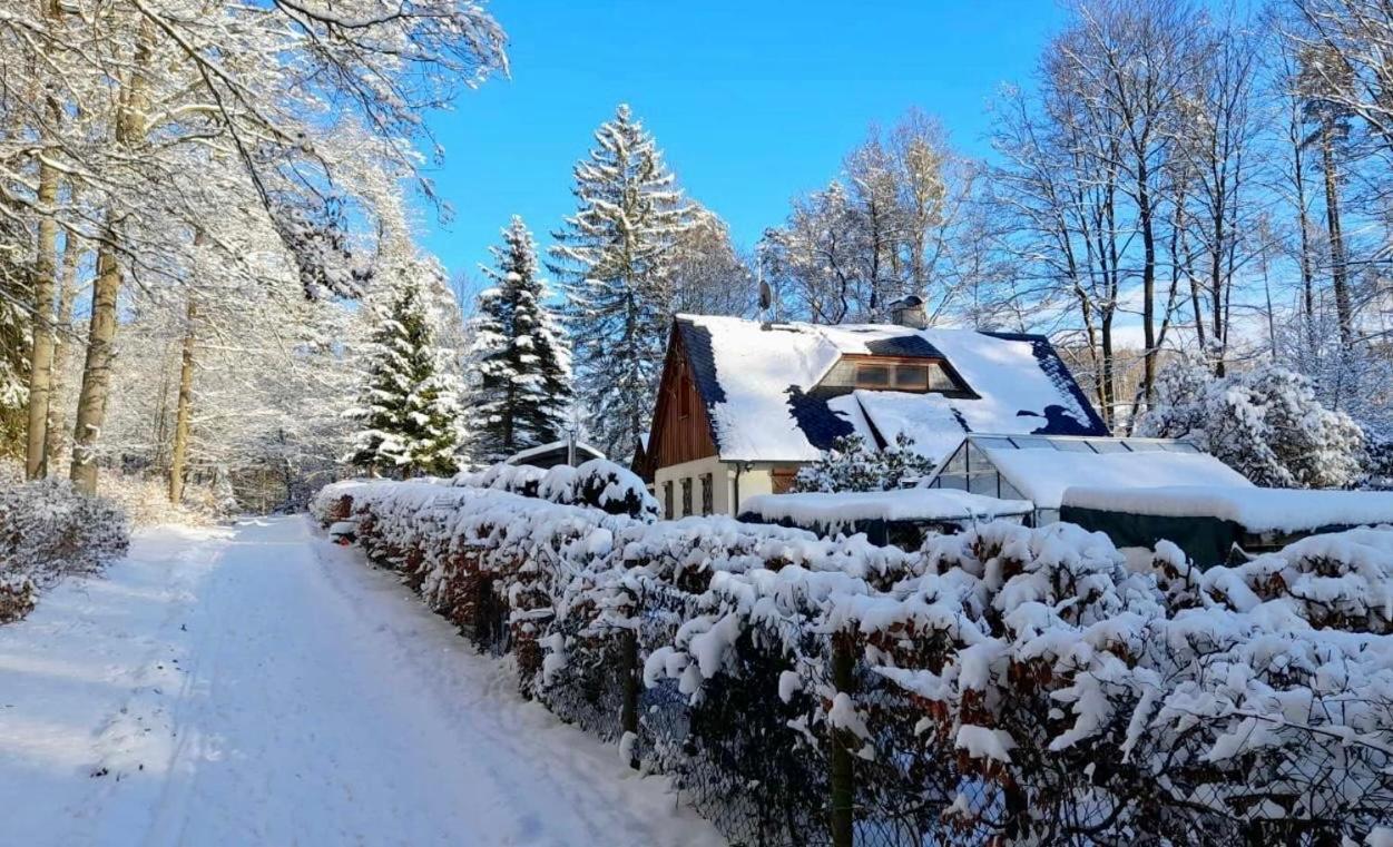 Ferienhaus Jaegerhaus Oppach Privathaus 外观 照片