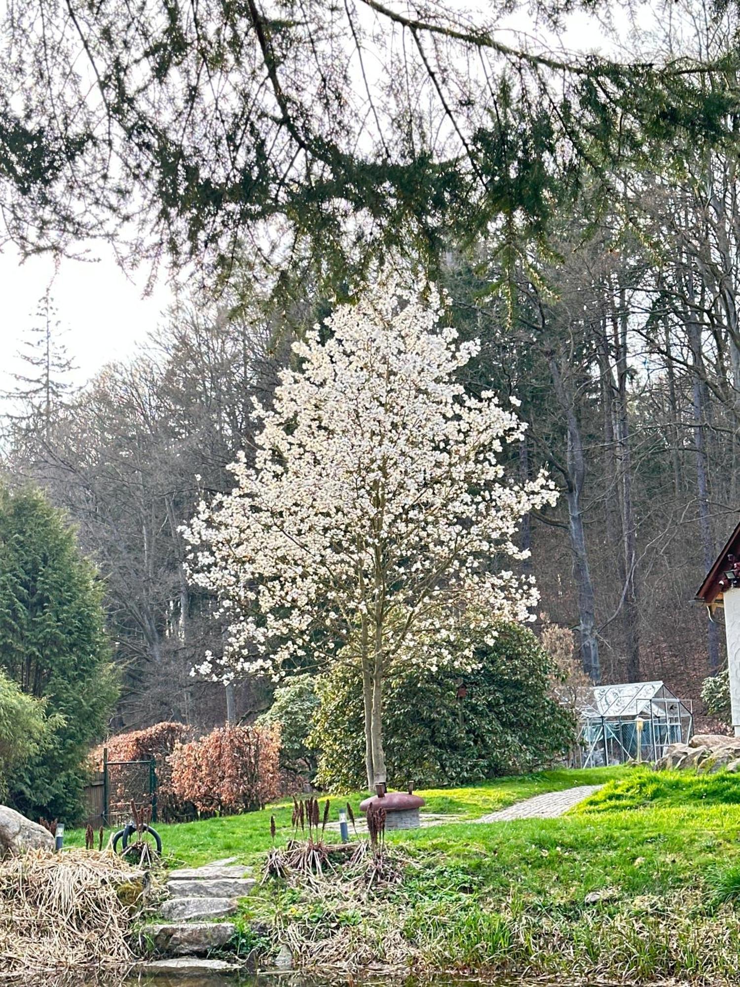 Ferienhaus Jaegerhaus Oppach Privathaus 外观 照片